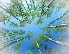 untitled-1_clip_image002